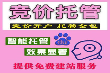 充值返点机制在社交平台的应用案例